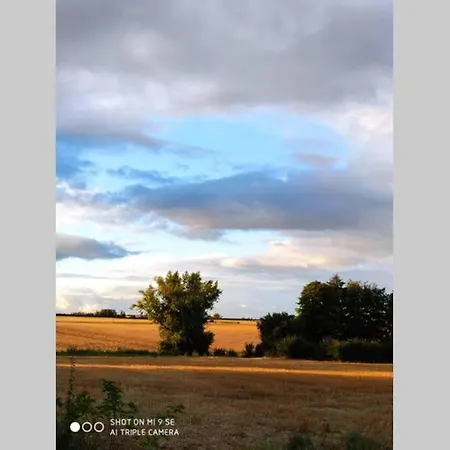 The Little Barn-la Petite Grange France * Escurolles