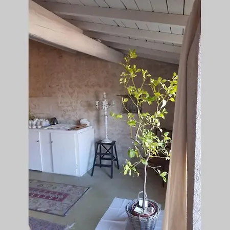 The Little Barn-la Petite Grange France Apartment *